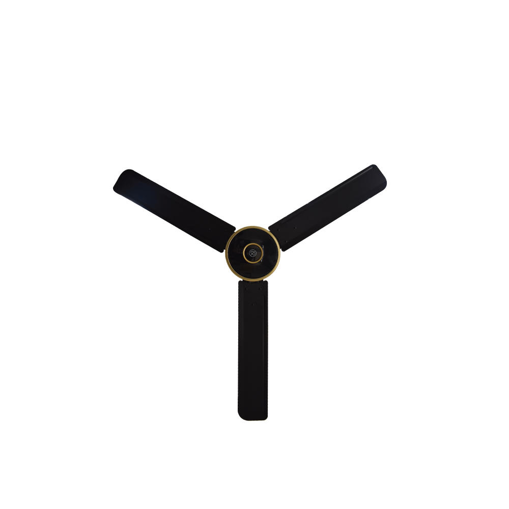 CEILING-FAN-2.png